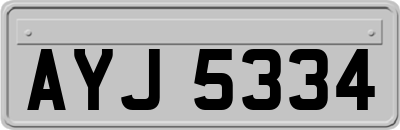 AYJ5334
