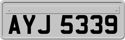 AYJ5339
