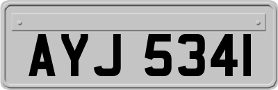 AYJ5341
