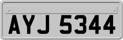 AYJ5344