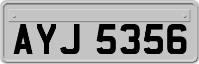 AYJ5356