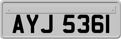 AYJ5361