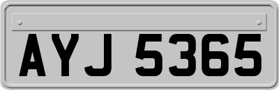 AYJ5365