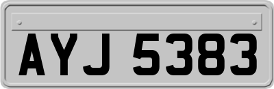 AYJ5383