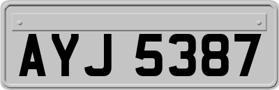 AYJ5387