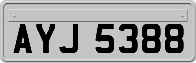AYJ5388