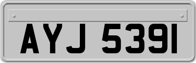 AYJ5391