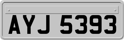 AYJ5393