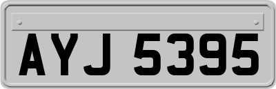 AYJ5395