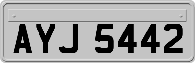 AYJ5442