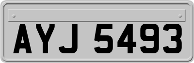 AYJ5493