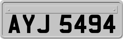 AYJ5494