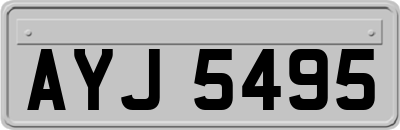 AYJ5495