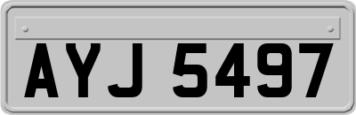 AYJ5497