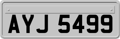 AYJ5499