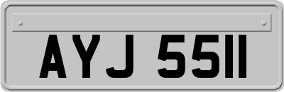 AYJ5511