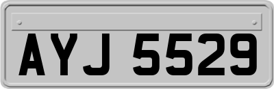 AYJ5529