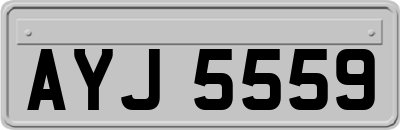 AYJ5559