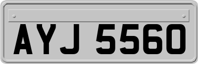AYJ5560