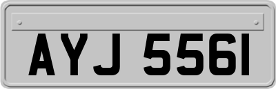 AYJ5561