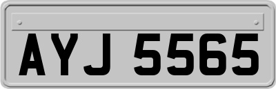 AYJ5565