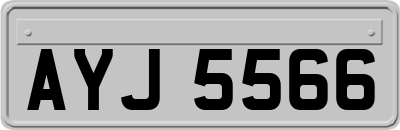 AYJ5566