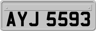 AYJ5593