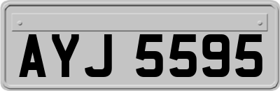 AYJ5595