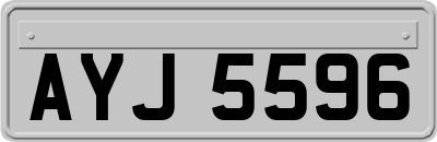 AYJ5596