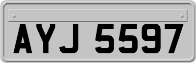 AYJ5597