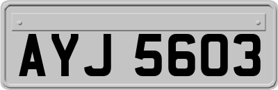 AYJ5603