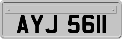 AYJ5611