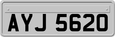 AYJ5620