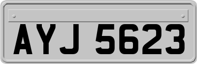 AYJ5623