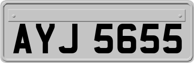 AYJ5655