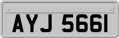 AYJ5661