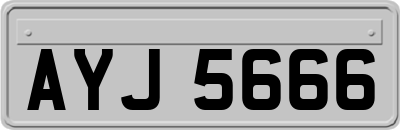 AYJ5666