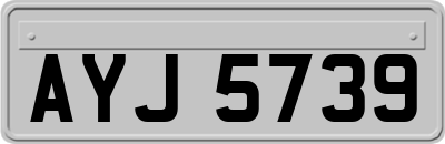 AYJ5739