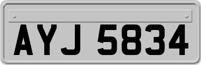 AYJ5834