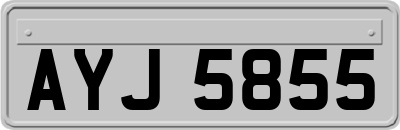 AYJ5855
