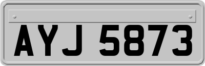 AYJ5873