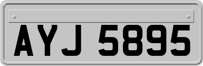 AYJ5895