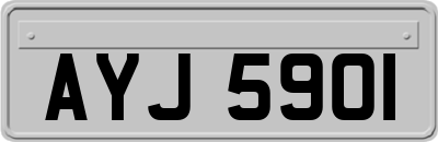 AYJ5901