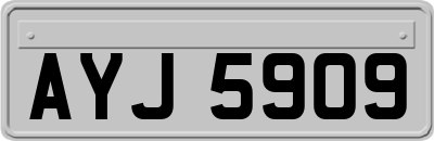 AYJ5909