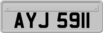 AYJ5911