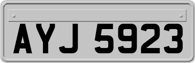 AYJ5923