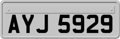 AYJ5929