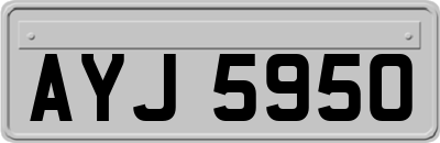 AYJ5950