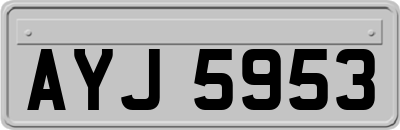 AYJ5953
