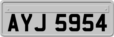 AYJ5954